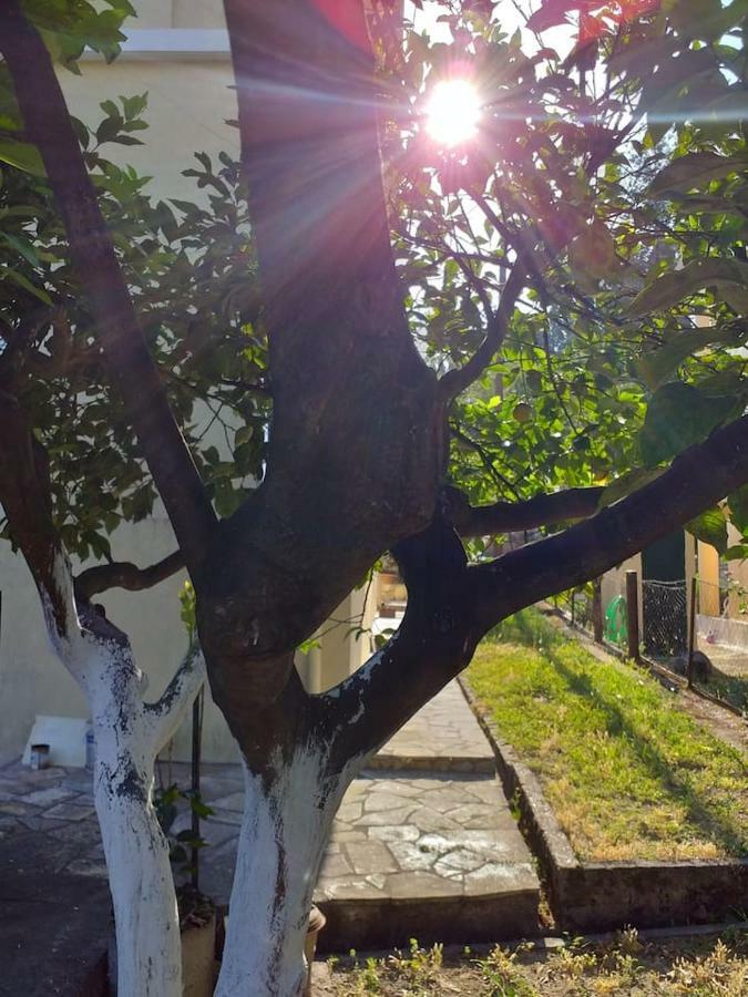 Villa Rosa Garden House Corfu  Esterno foto