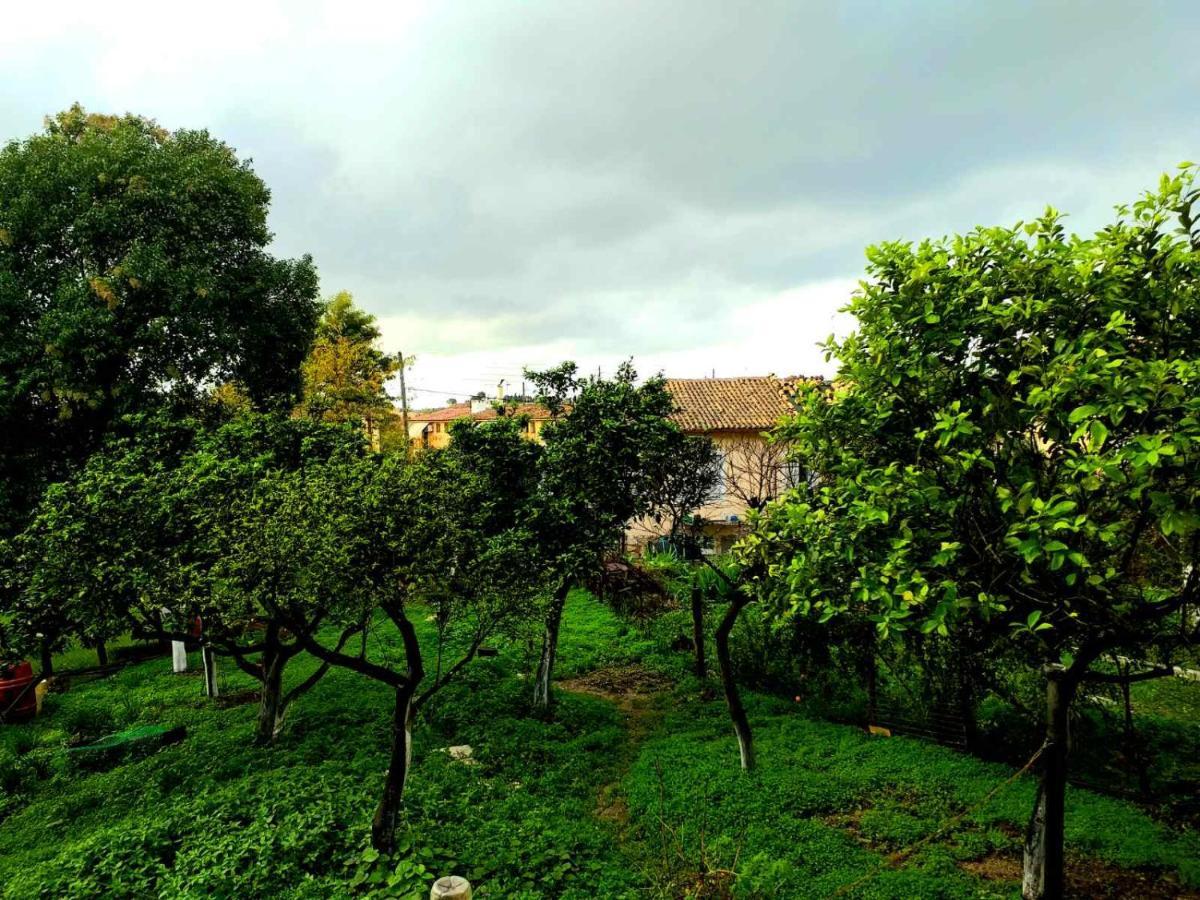 Villa Rosa Garden House Corfu  Esterno foto